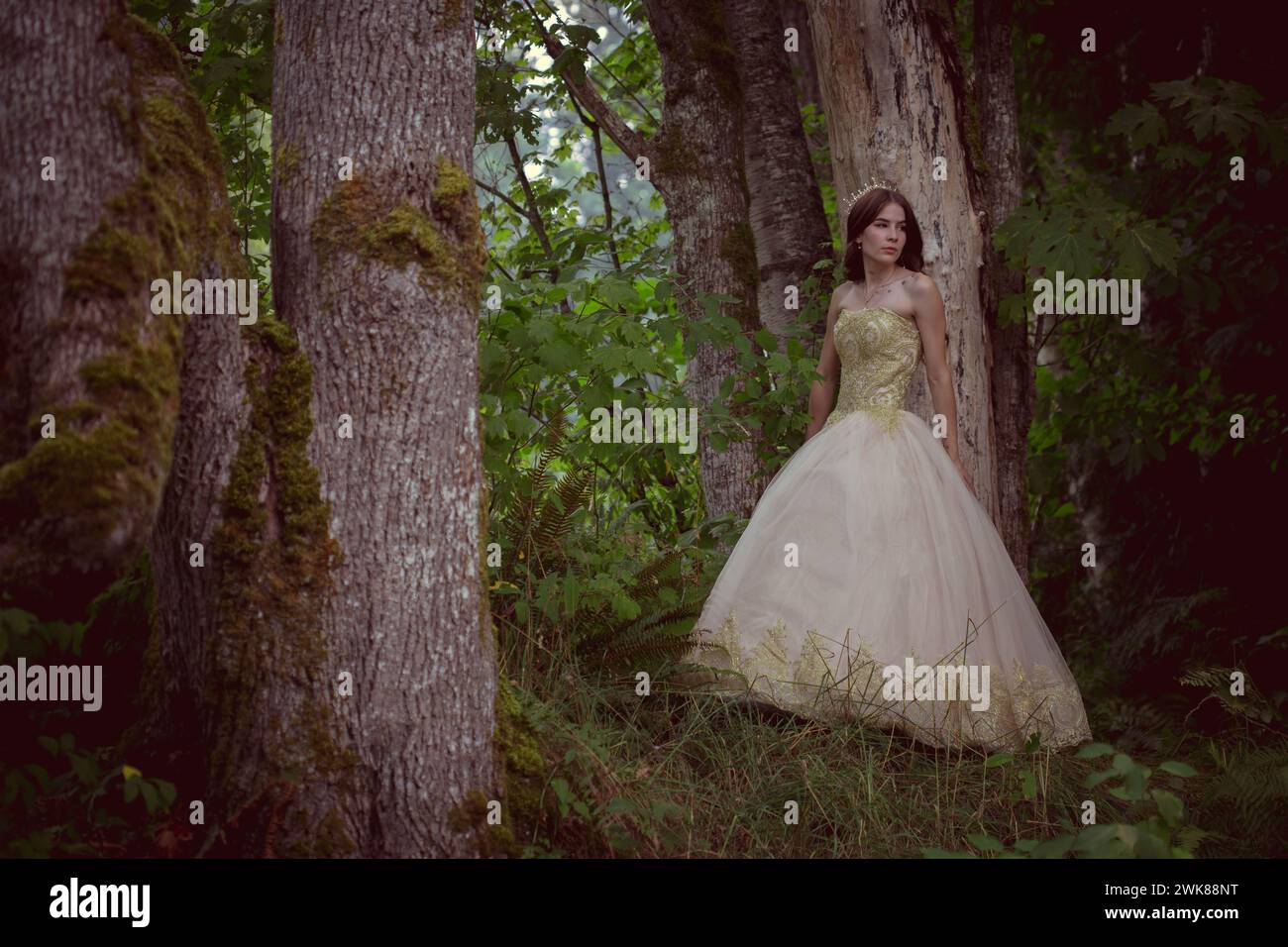 Principessa nascosta nella Foresta oscura Foto Stock