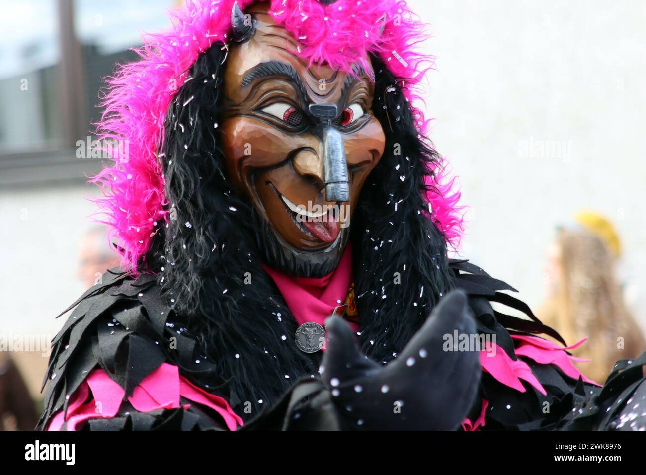 Grande processione di Carnevale Svevo-Alemanno Foto Stock