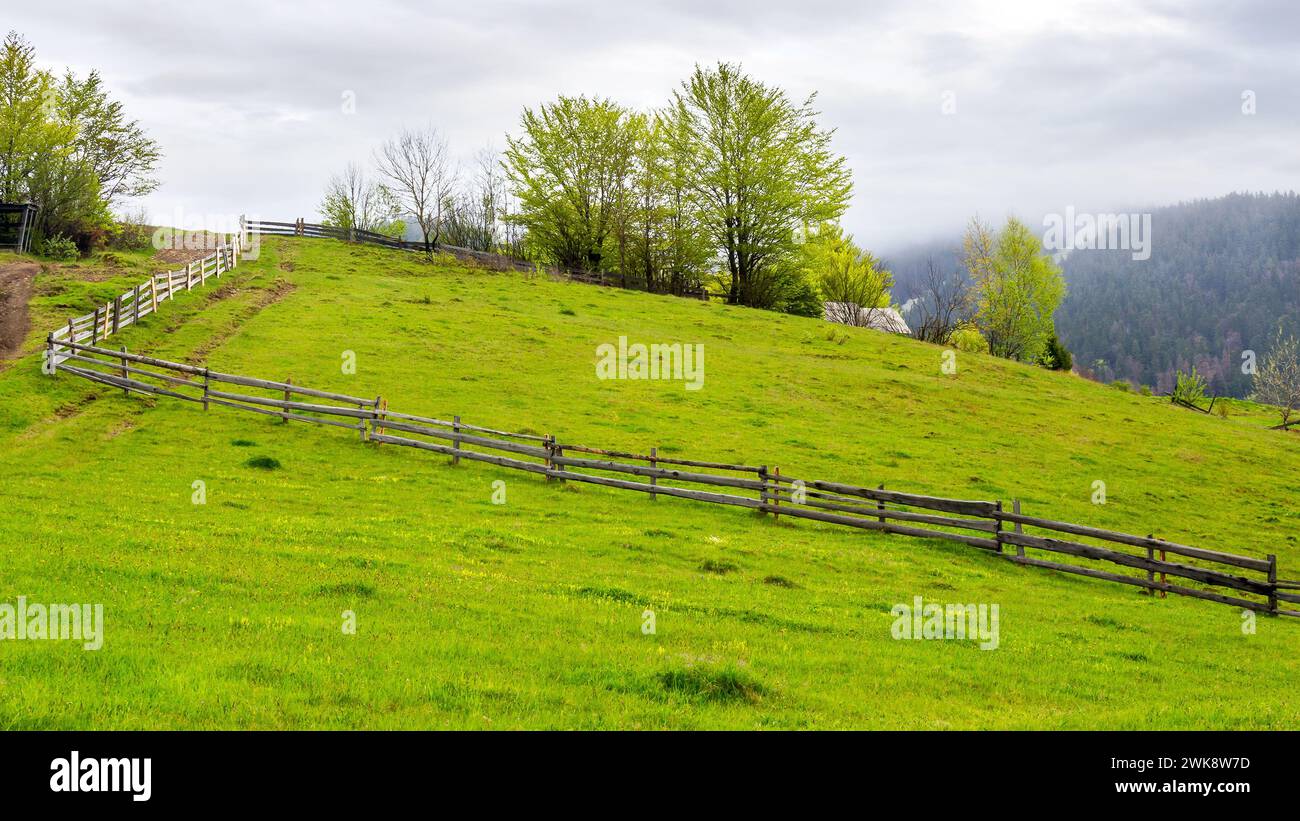 recinzione in legno sulla collina erbosa. paesaggio rurale montagnoso dell'ucraina in primavera. campagna dei carpazi in un giorno coperto Foto Stock
