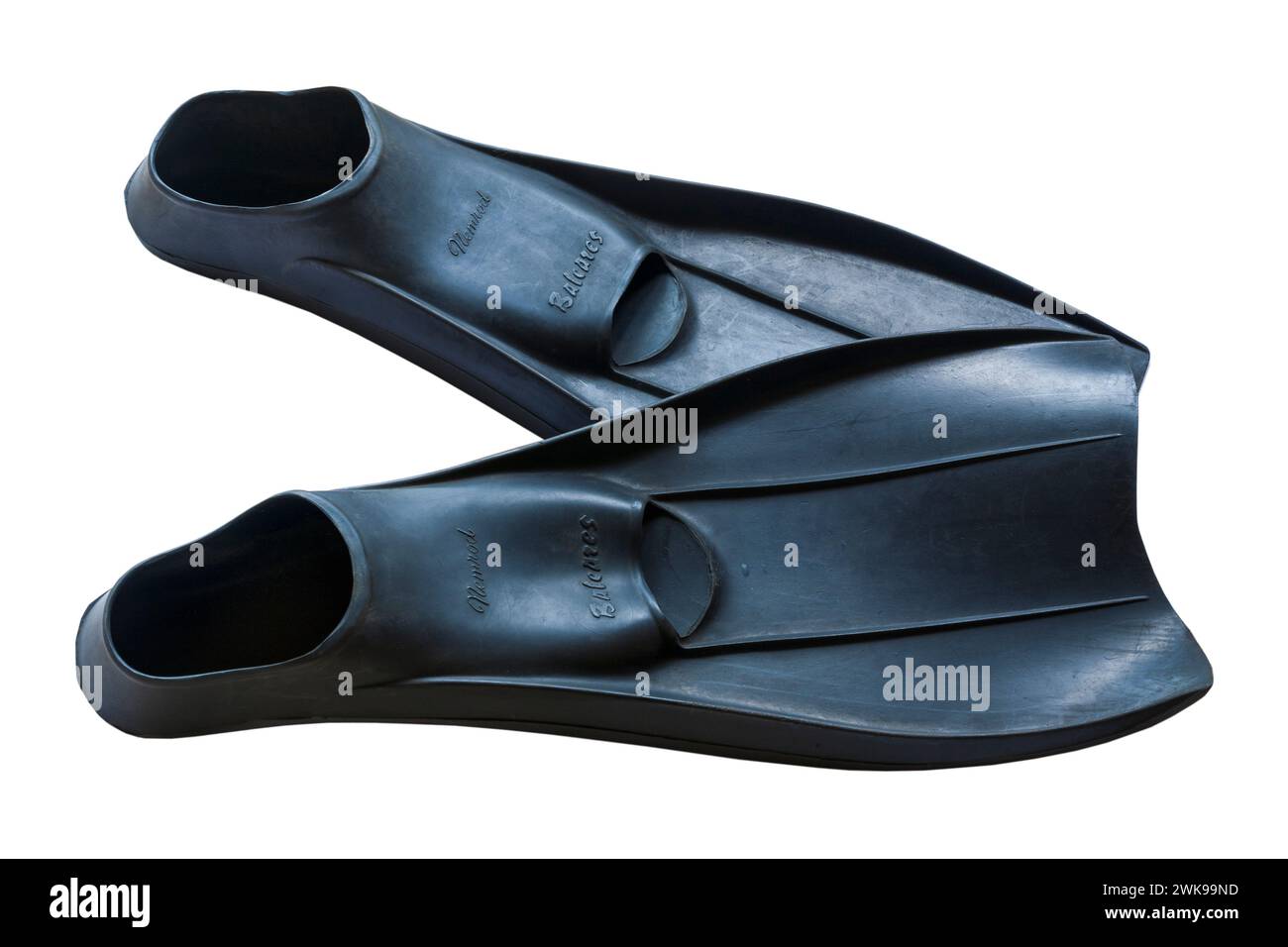 Nemrod Baleares pinne nere isolate su sfondo bianco Foto Stock