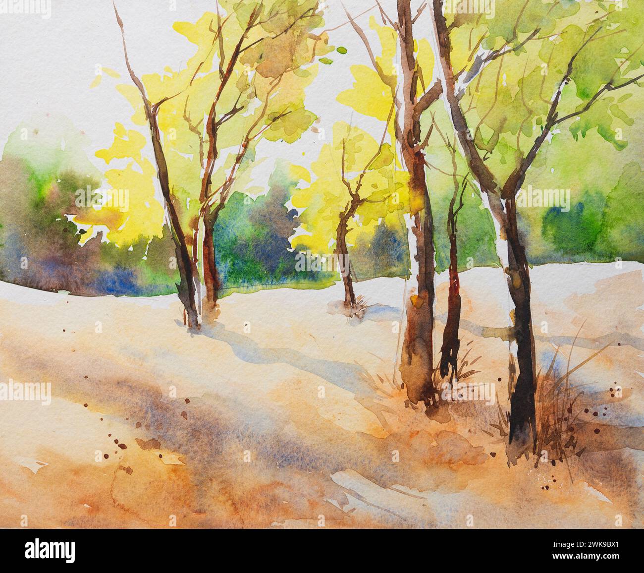 Colorato dipinto ad acquerello di alberi retroilluminati in inverno al mattino nella foresta. Illustrazione ad acquerello dipinta a mano. Arte indiana ad acquerello dipinta a mano. Foto Stock