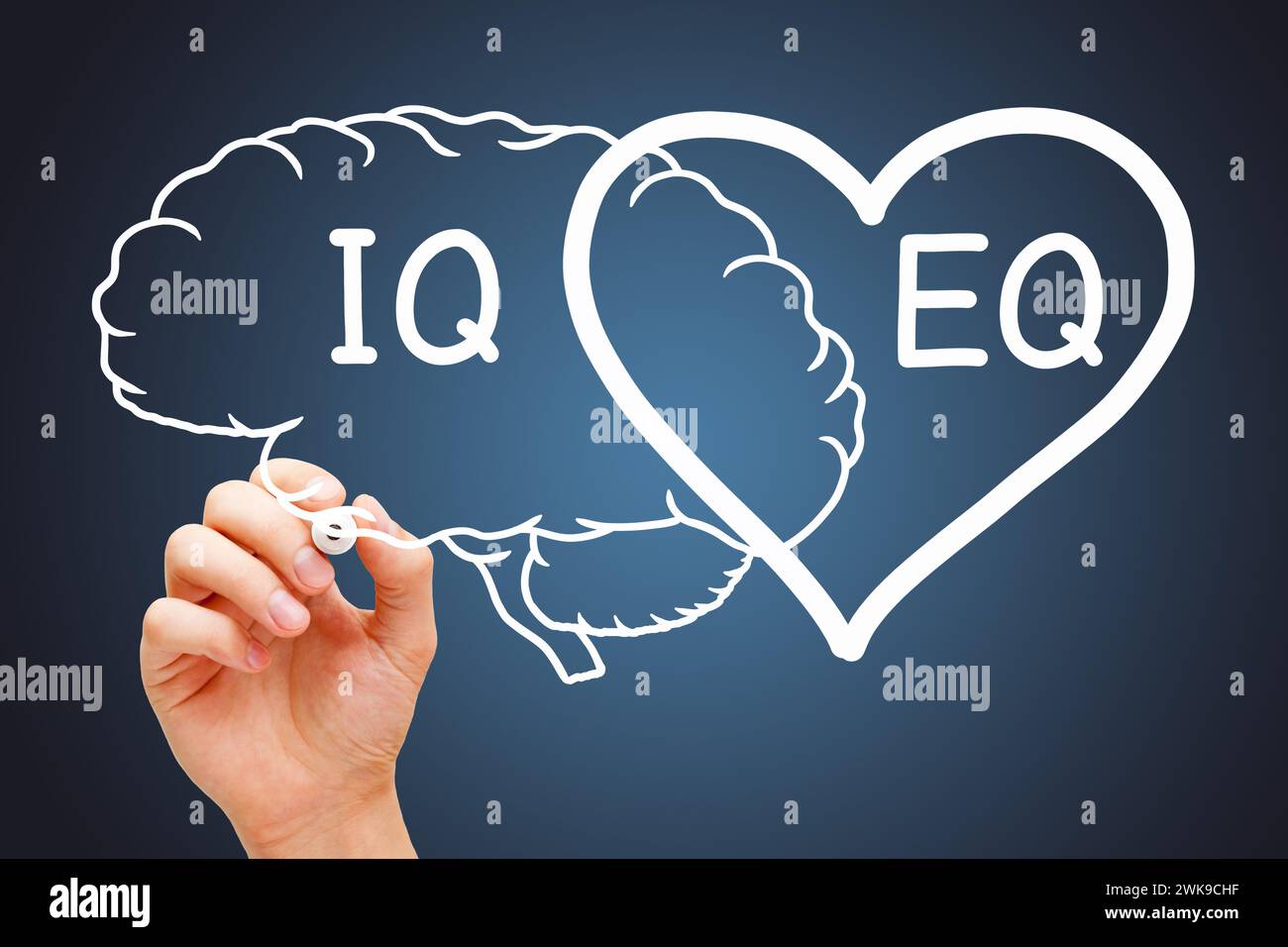 Mano disegnando un concetto di cuore e cervello sul quoziente EQ di intelligenza emotiva e IQ. Foto Stock