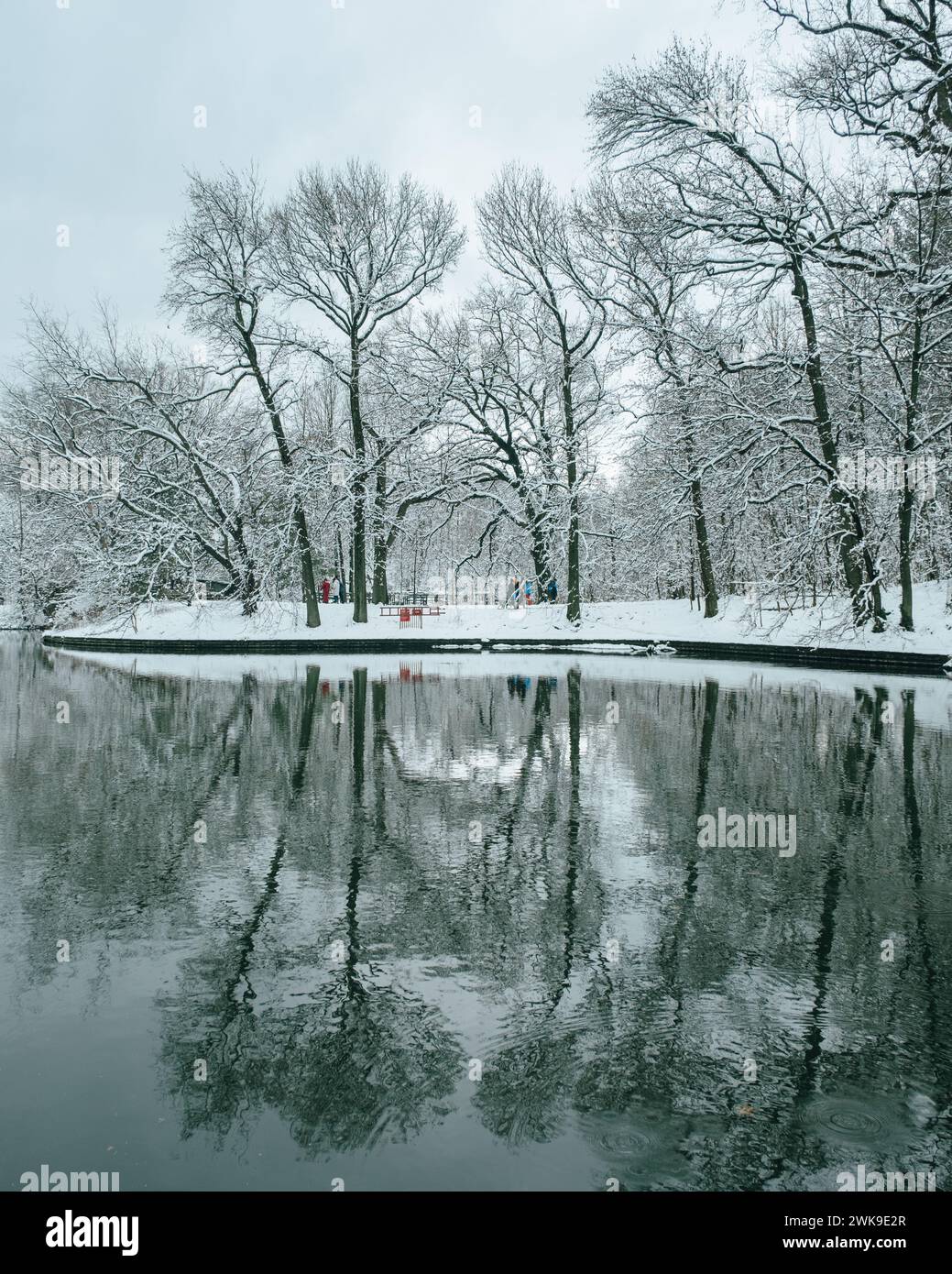Prospect Park Lake in una giornata invernale innevata a Brooklyn, New York Foto Stock