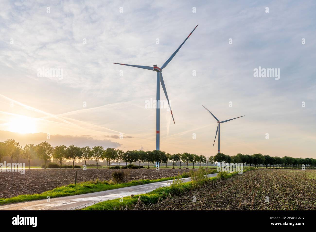Turbine eoliche e alberi, così come una strada che conduce all'orizzonte illuminata dal sole tramonta, si combinano per creare un'immagine energica. Foto Stock