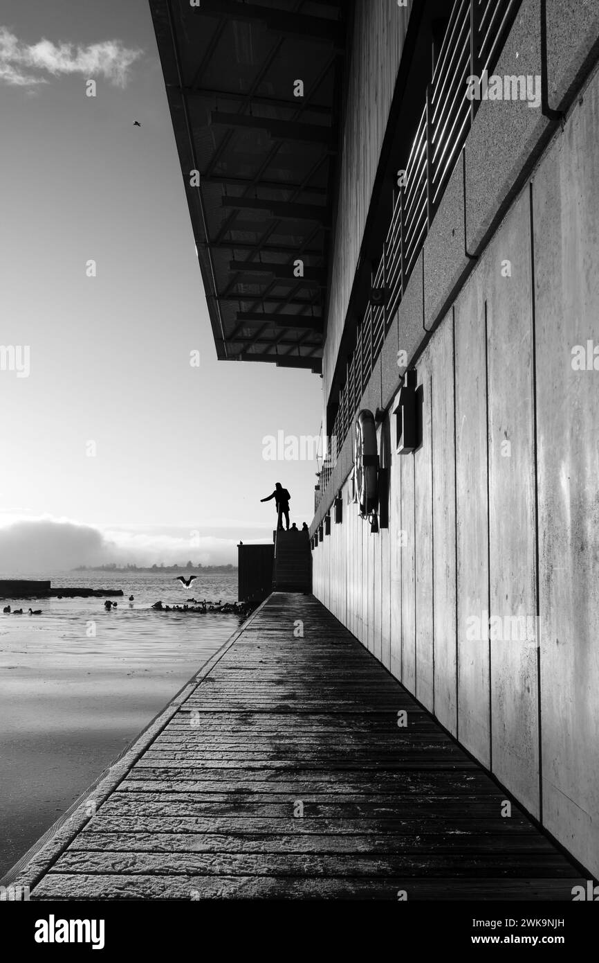 La silhouette di un uomo in piedi su un molo, che dà da mangiare agli uccelli in scala di grigi Foto Stock