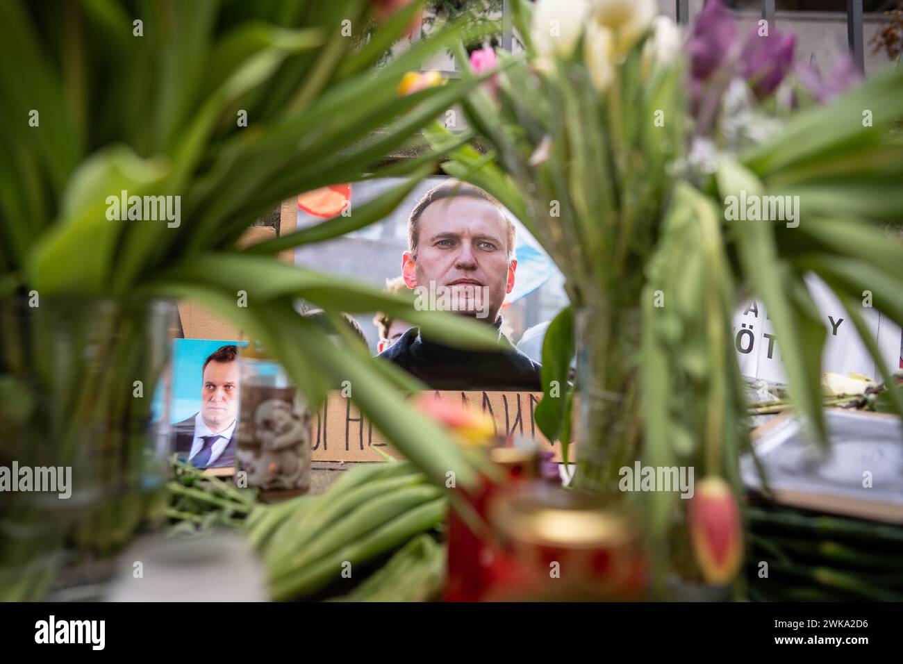 Assia, Francoforte sul meno, Germania. 19 febbraio 2024, Assia, Francoforte sul meno: Fiori, candele e foto si trovano di fronte al Consolato generale russo a Francoforte in seguito alla morte di Alexei Navalny. Navalny morì il 16.02.2024 all'età di 47 anni in un campo penale siberiano, secondo la magistratura. I servizi consolari presso questa rappresentanza sono stati sospesi dal 1° gennaio 2024. Foto: Frank Rumpenhorst/dpa/Frank Rumpenhorst/dpa credito: dpa Picture Alliance/Alamy Live News Foto Stock Assia, Francoforte sul meno, Germania. 19 febbraio 2024, Assia, Francoforte sul meno: Fiori, candele e foto si trovano di fronte al Consolato generale russo a Francoforte in seguito alla morte di Alexei Navalny. Navalny morì il 16.02.2024 all'età di 47 anni in un campo penale siberiano, secondo la magistratura. I servizi consolari presso questa rappresentanza sono stati sospesi dal 1° gennaio 2024. Foto: Frank Rumpenhorst/dpa/Frank Rumpenhorst/dpa credito: dpa Picture Alliance/Alamy Live News Foto Stock