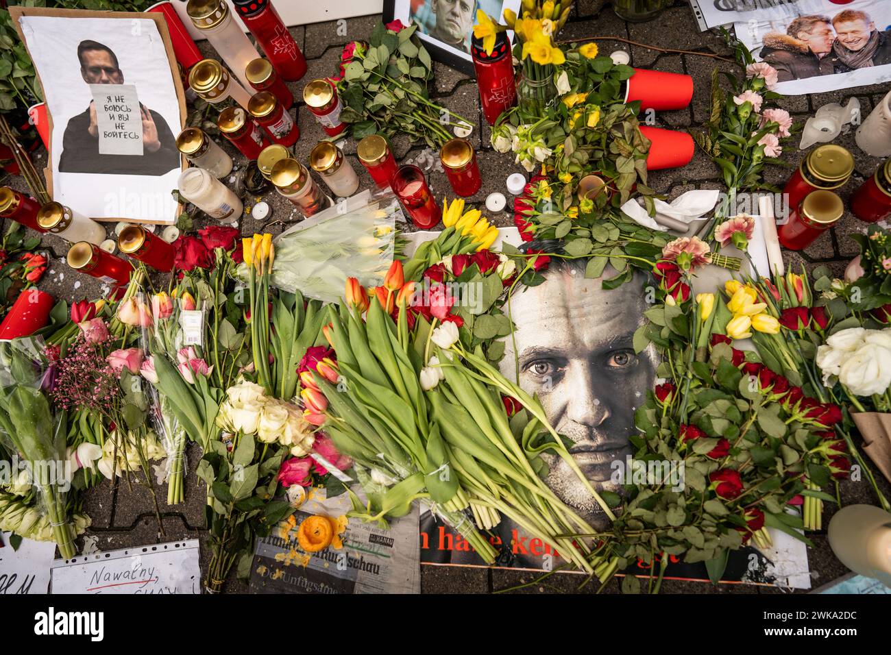 Assia, Francoforte sul meno, Germania. 19 febbraio 2024, Assia, Francoforte sul meno: Fiori, candele e foto si trovano di fronte al Consolato generale russo a Francoforte in seguito alla morte di Alexei Navalny. Navalny morì il 16.02.2024 all'età di 47 anni in un campo penale siberiano, secondo la magistratura. I servizi consolari presso questa rappresentanza sono stati sospesi dal 1° gennaio 2024. Foto: Frank Rumpenhorst/dpa/Frank Rumpenhorst/dpa credito: dpa Picture Alliance/Alamy Live News Foto Stock Assia, Francoforte sul meno, Germania. 19 febbraio 2024, Assia, Francoforte sul meno: Fiori, candele e foto si trovano di fronte al Consolato generale russo a Francoforte in seguito alla morte di Alexei Navalny. Navalny morì il 16.02.2024 all'età di 47 anni in un campo penale siberiano, secondo la magistratura. I servizi consolari presso questa rappresentanza sono stati sospesi dal 1° gennaio 2024. Foto: Frank Rumpenhorst/dpa/Frank Rumpenhorst/dpa credito: dpa Picture Alliance/Alamy Live News Foto Stock
