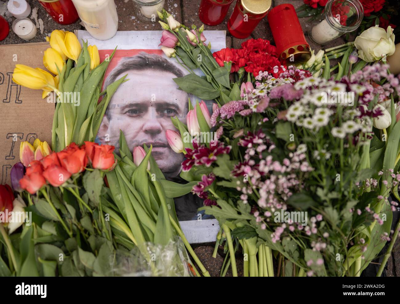 Assia, Francoforte sul meno, Germania. 19 febbraio 2024, Assia, Francoforte sul meno: Fiori, candele e foto si trovano di fronte al Consolato generale russo a Francoforte in seguito alla morte di Alexei Navalny. Navalny morì il 16.02.2024 all'età di 47 anni in un campo penale siberiano, secondo la magistratura. I servizi consolari presso questa rappresentanza sono stati sospesi dal 1° gennaio 2024. Foto: Frank Rumpenhorst/dpa/Frank Rumpenhorst/dpa credito: dpa Picture Alliance/Alamy Live News Foto Stock