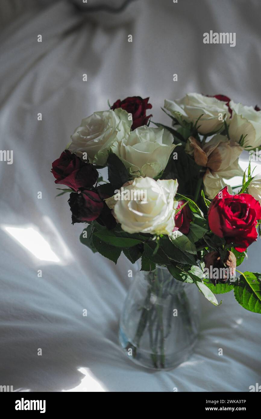 Un mini vaso con rose rosse, bianche e viola Foto Stock