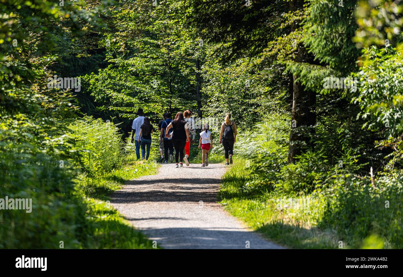 Eine Gruppe von Menschen läuft auf einem Waldweg. (Dietlikon, Schweiz, 01.06.2023) Foto Stock