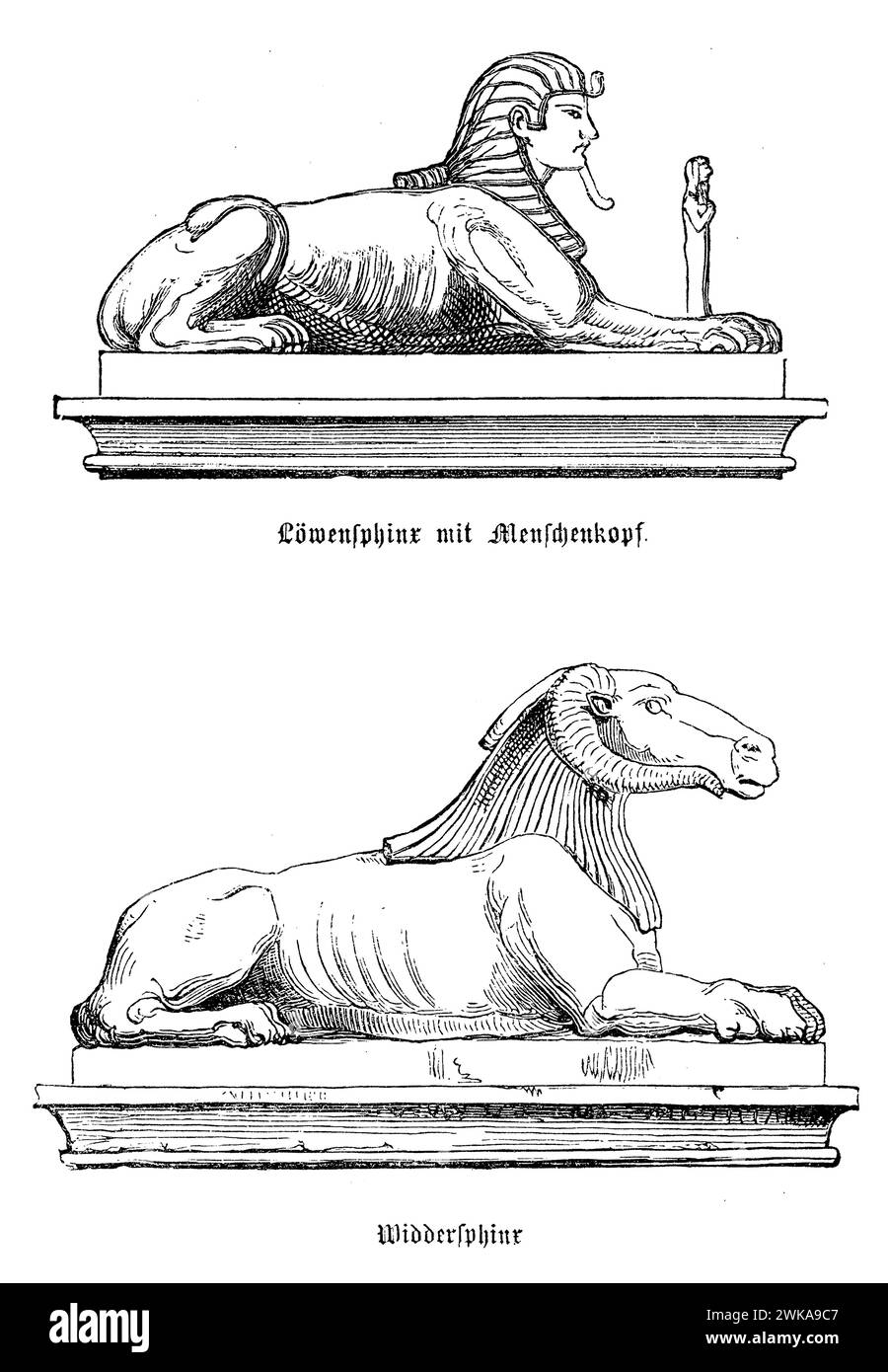 La sfinge leone con testa umana simboleggia il potere reale, la saggezza e la protezione, spesso raffigurata a guardia di templi e tombe. La grande Sfinge di Giza, che rappresenta il faraone Khafre, è l'esempio più famoso. La sfinge di ariete, associata al dio Amon, specialmente durante il periodo del nuovo Regno, rappresenta la fertilità, la creatività e la forza bellica. Queste sfingi erano spesso collocate agli ingressi del tempio come guardiani o allineate lungo le vie processionali, riflettendo i loro ruoli protettivi e sacri Foto Stock