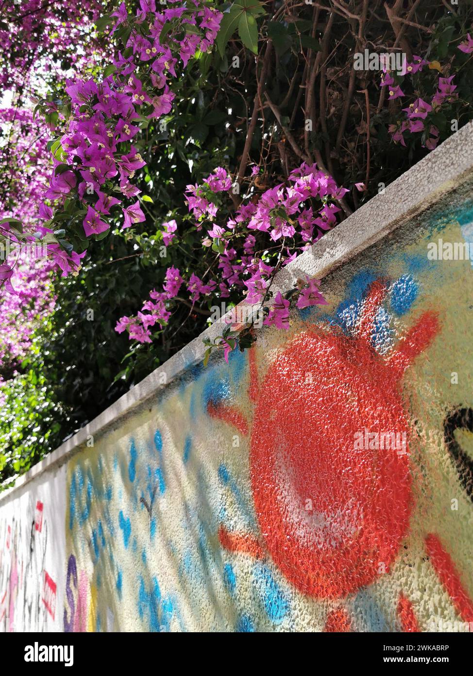 graffiti su un muro di recinzione, cespuglio fiorito. Barcellona, Spagna Foto Stock