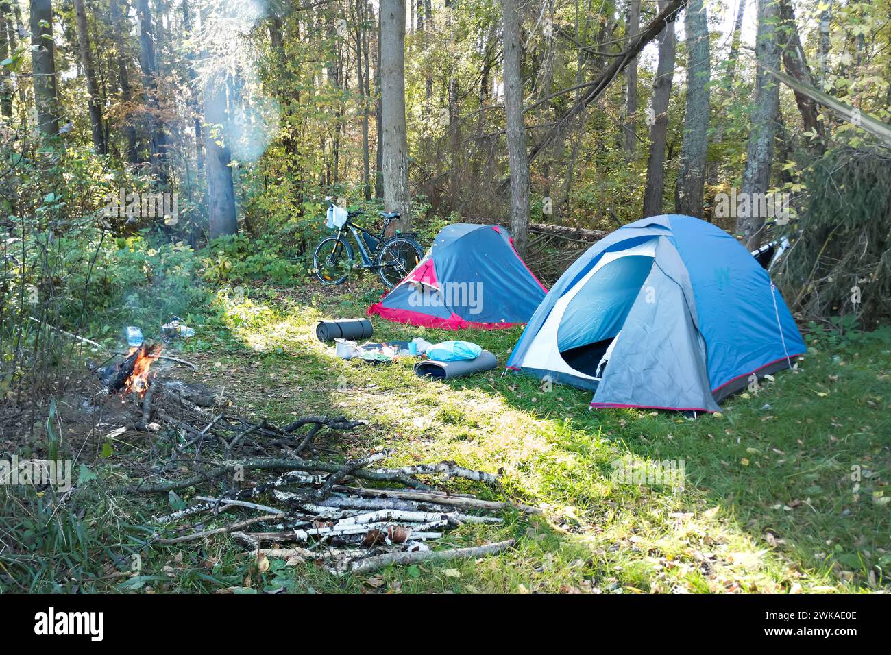 Tende da trekking, falò e biciclette nella foresta Foto Stock