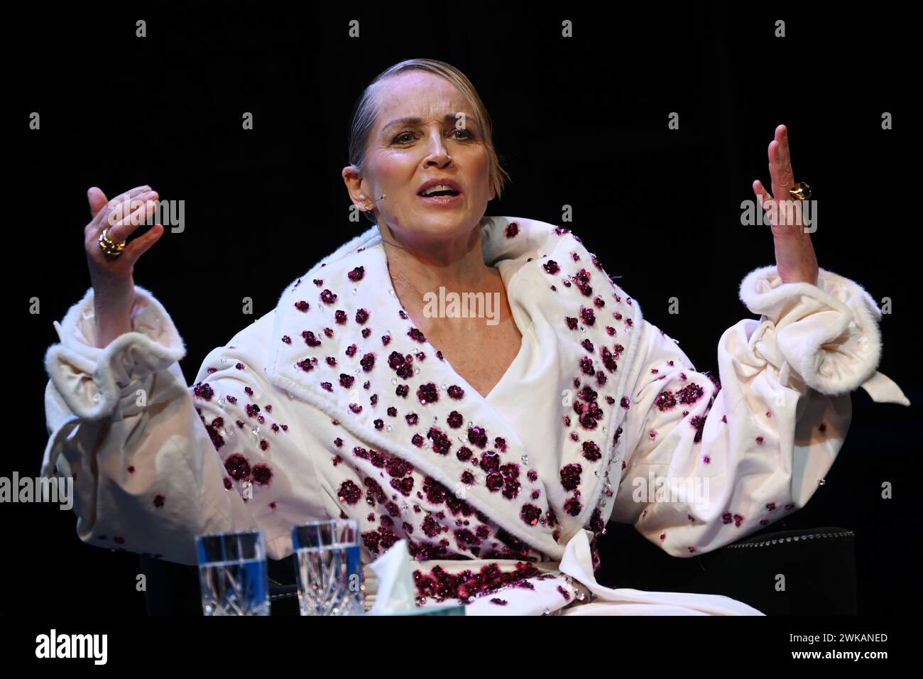 Berlino, Germania. 19 febbraio 2024. L'attrice Sharon Stone parla a "A Special Evening with Sharon Stone & "Casino" di Martin Scorsese" al Theater des Westens. Crediti: Sebastian Christoph Gollnow/dpa/Alamy Live News Foto Stock