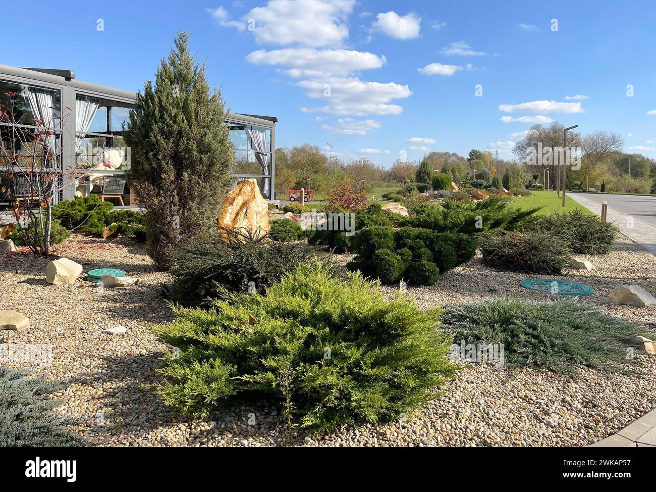 Architettura paesaggistica con piante di conifere e ciottoli Foto Stock
