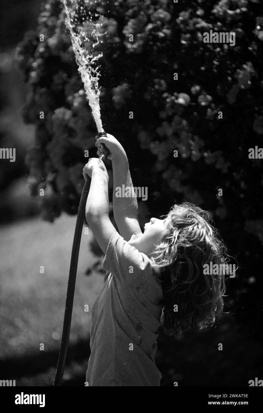 Bambino ragazzo annaffiare le piante, da tubo spray con tubo flessibile d'acqua nel giardino, nel cortile della casa in una serata estiva. Foto Stock