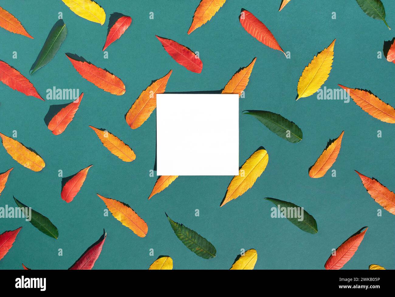 Layout creativo di colorate foglie autunnali su sfondo verde giada con carta bianca per lo spazio delle copie. Le stagioni cambiano concetto. Foto Stock