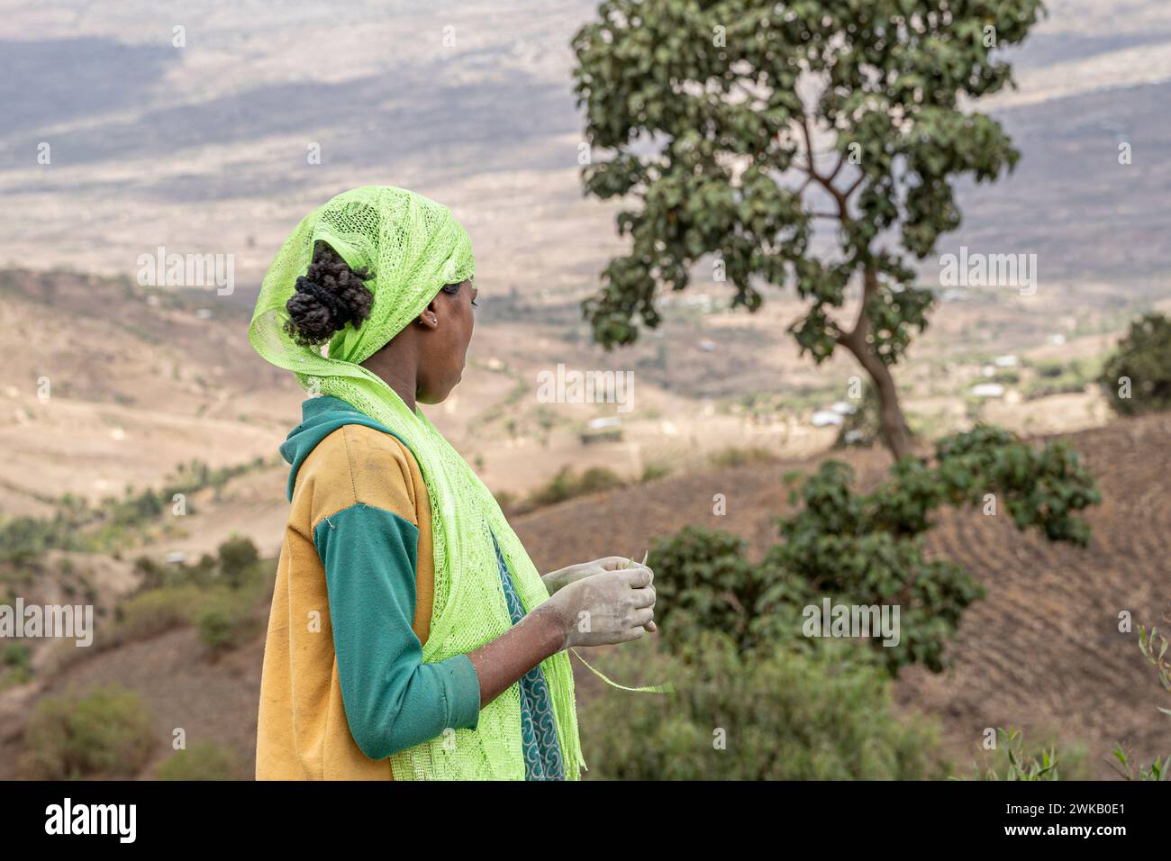 Paesaggio negli altopiani etiopi, Etiopia, Africa Foto Stock