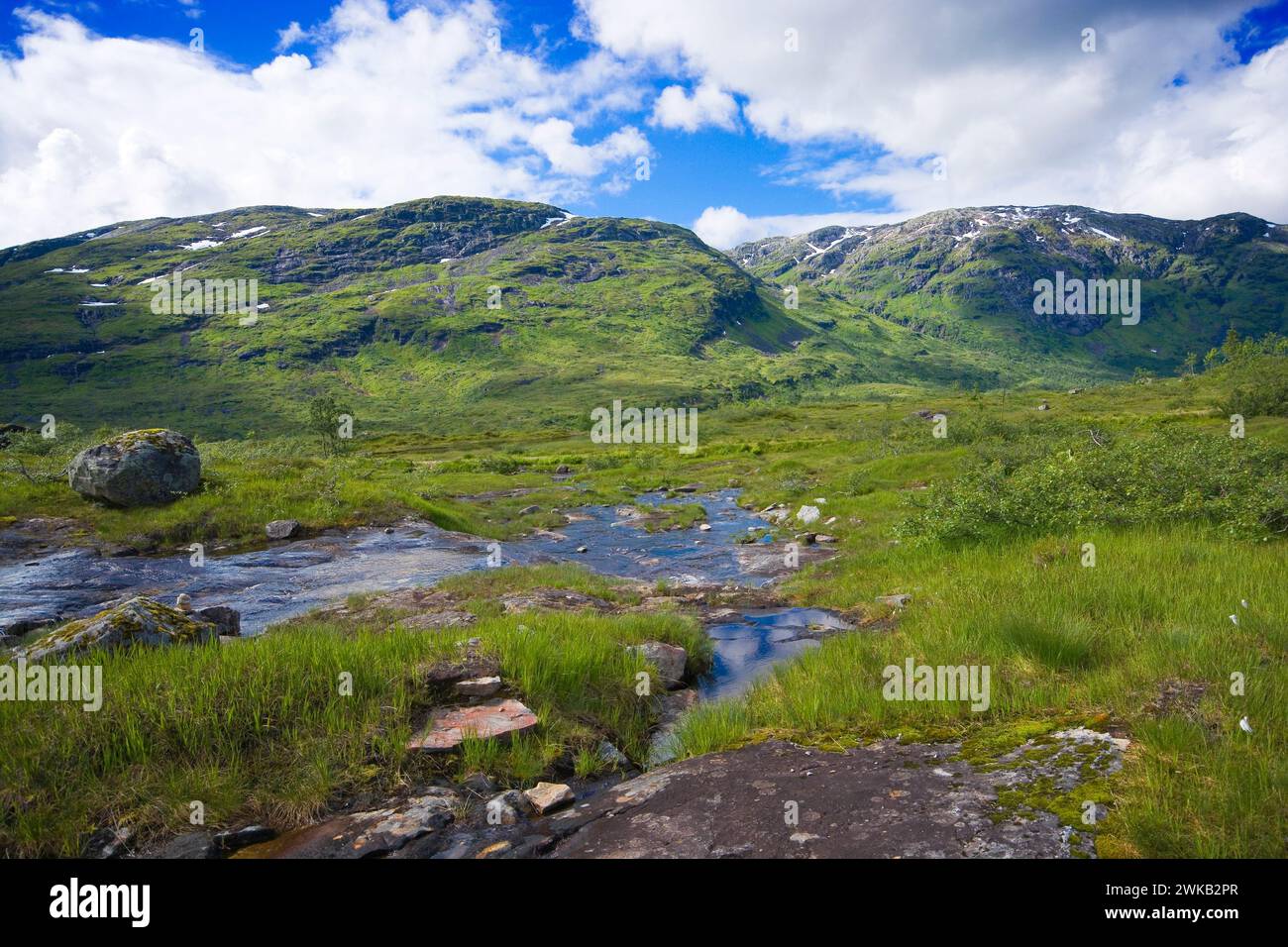 Vista da Torsnesstølen sulla strada panoramica Gaularfjellet, Norvegia Foto Stock