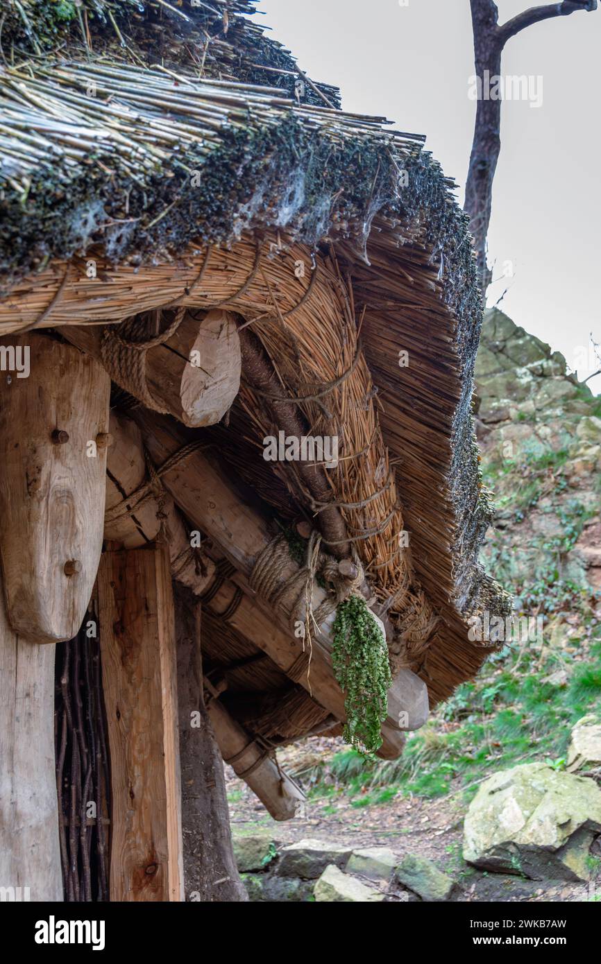 Il castello di Beeston è uno dei castelli medievali più drammatici d'Inghilterra. È stata costruita una replica della torre dell'età del bronzo di A. Foto Stock