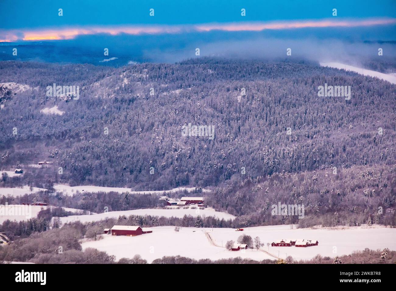 Neve sopra una fattoria e una foresta appena fuori Oslo, Norvegia Foto Stock