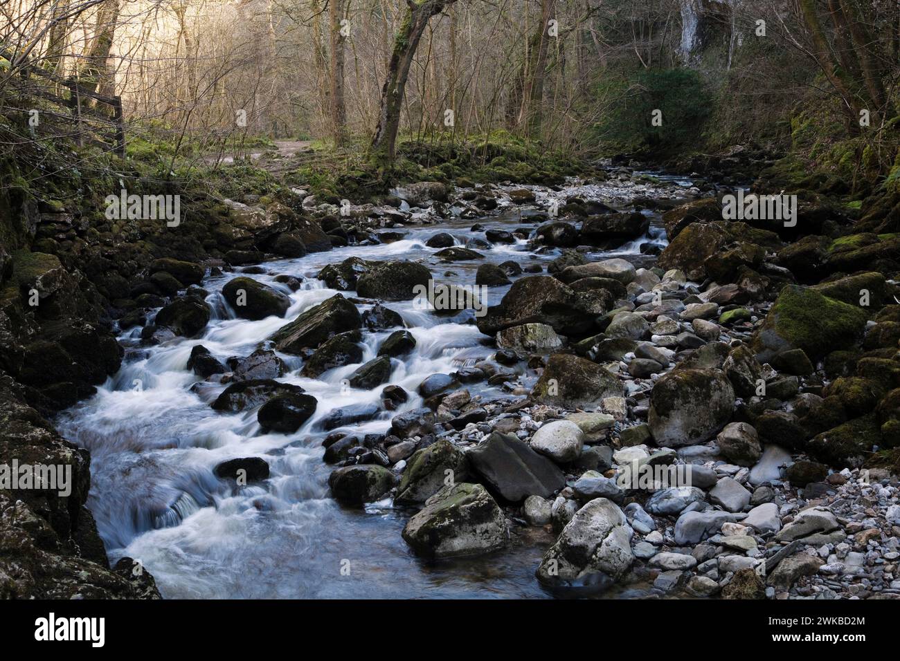 Fiume Twiss fluisce attraverso Swilla Glen, Yorkshire Dales, REGNO UNITO Foto Stock