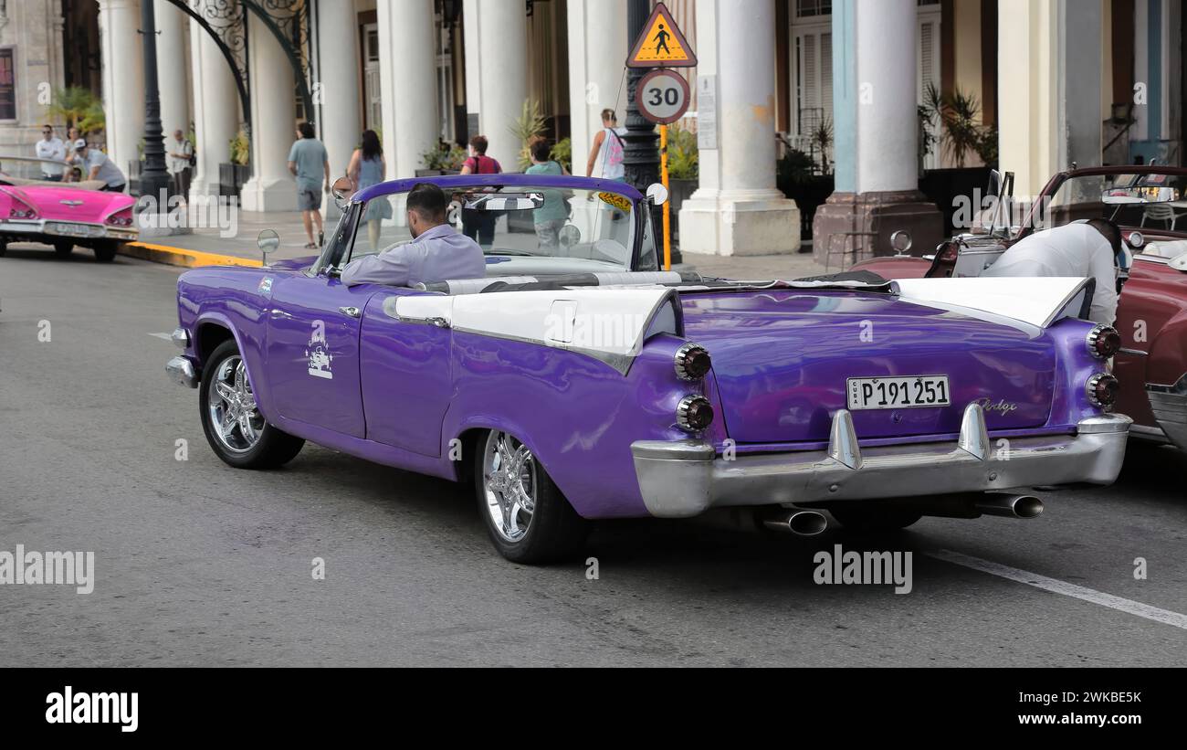 015 Vecchia auto in Almendron viola e bianco - serbatoio yank, classico americano Dodge - dal 1957 sul lungomare del Paseo del Prado. L'Avana-Cuba, Foto Stock