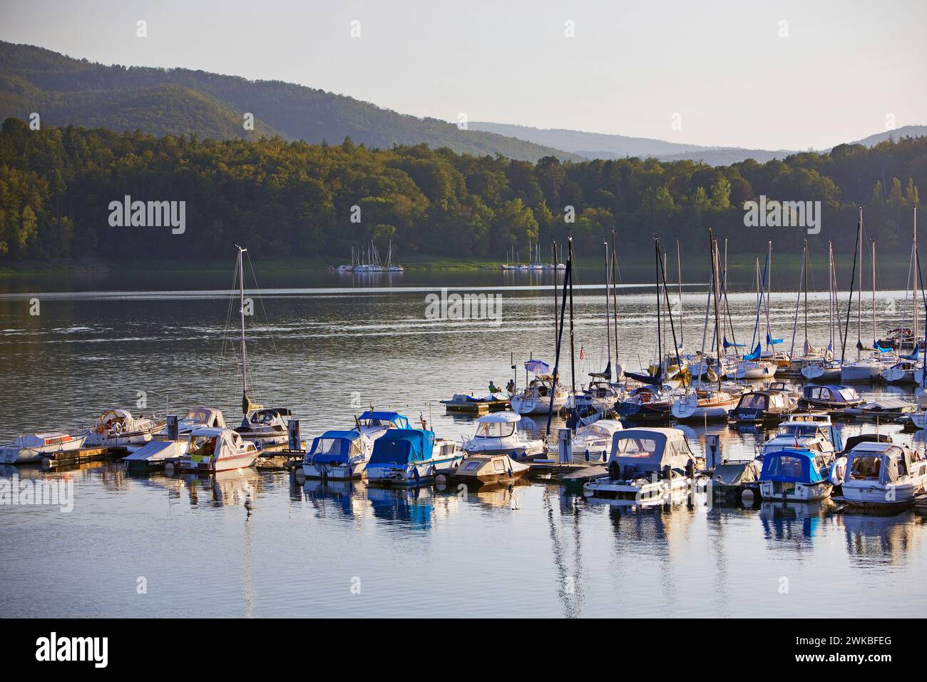 Passerella per barche da diporto a Edersee, Germania, Assia, Parco Nazionale di Kellerwald, Edertal Foto Stock