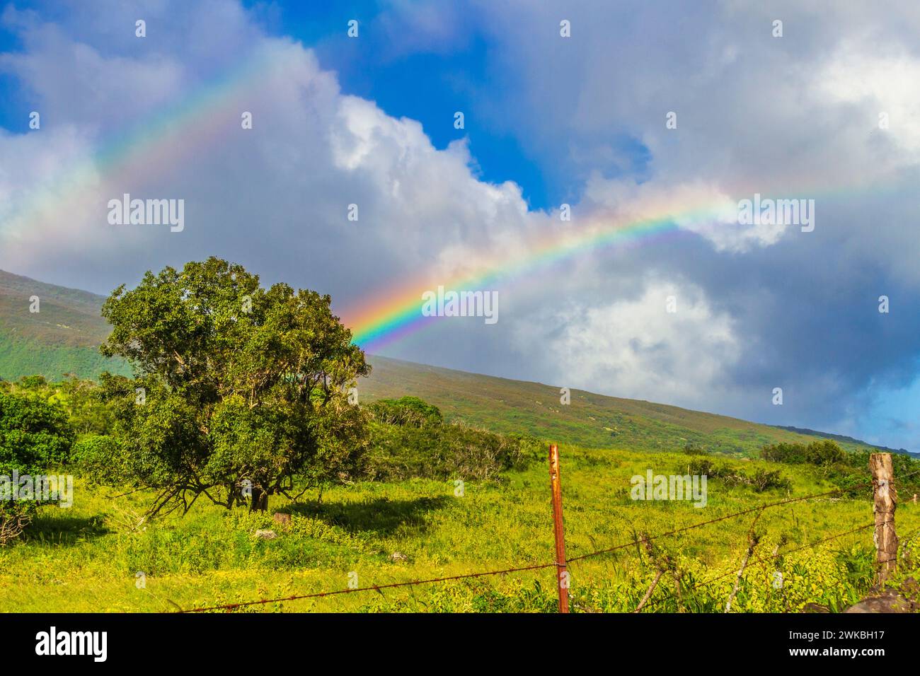 Arcobaleno sulla Back Road per Hana o piana Highway sull'isola di Maui nelle Hawaii. Foto Stock