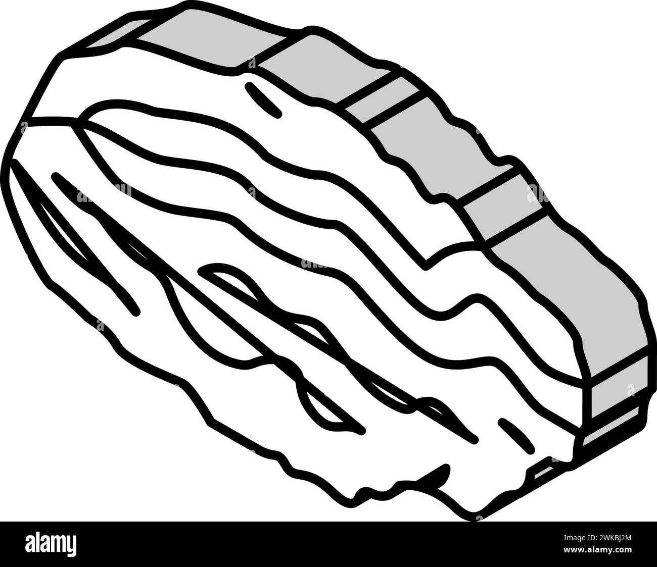 illustrazione vettoriale dell'icona isometrica della shell chiusa oyster Illustrazione Vettoriale