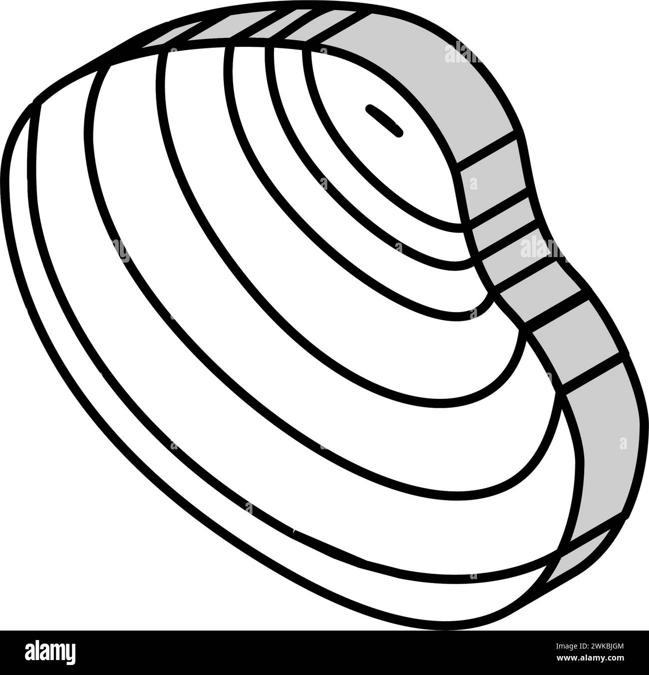 illustrazione vettoriale dell'icona isometrica della vongola atlantica con guscio rigido Illustrazione Vettoriale