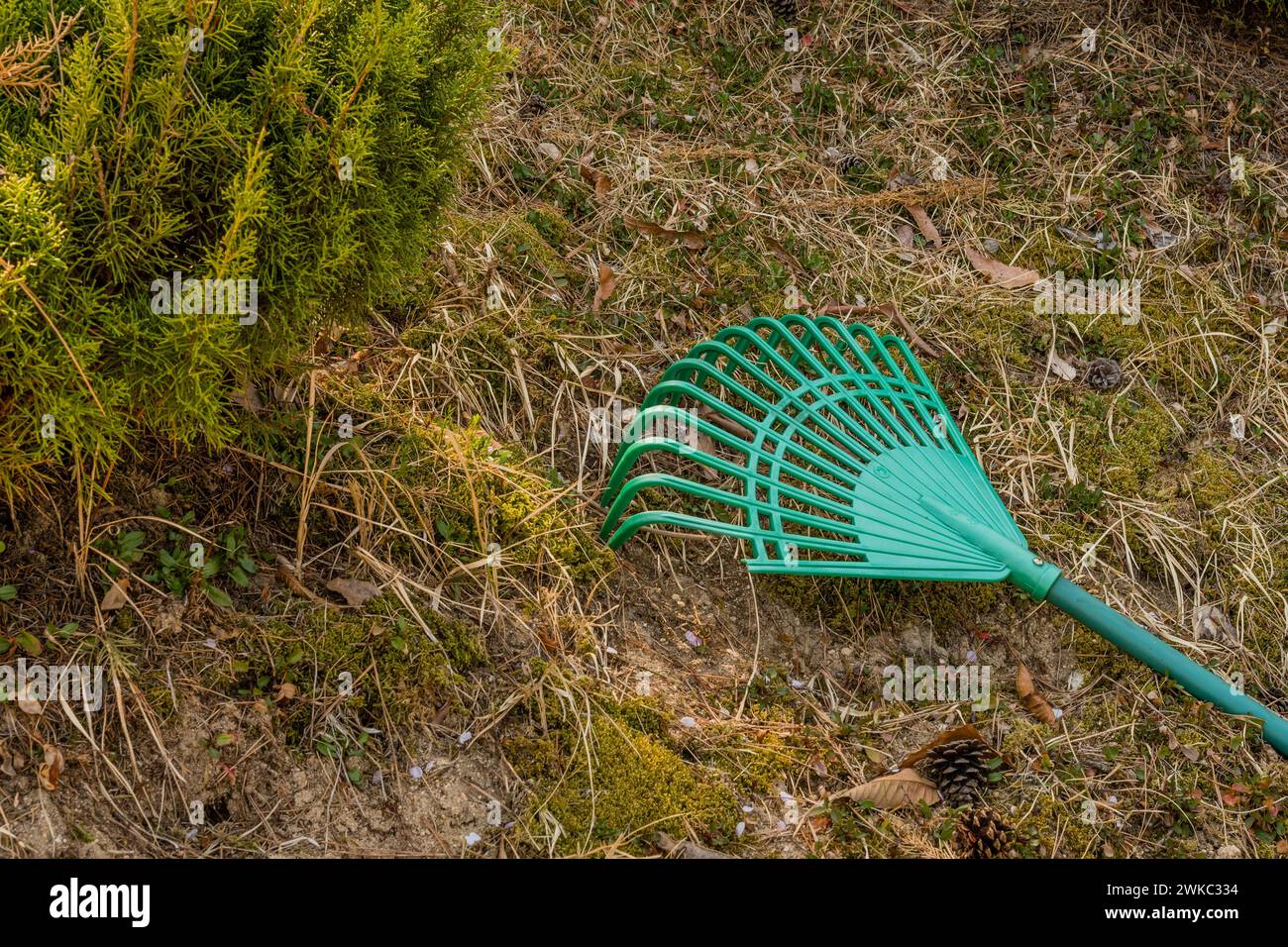 Rastrello verde adagiato sul fianco della collina accanto al cespuglio sempreverde in Corea del Sud Foto Stock