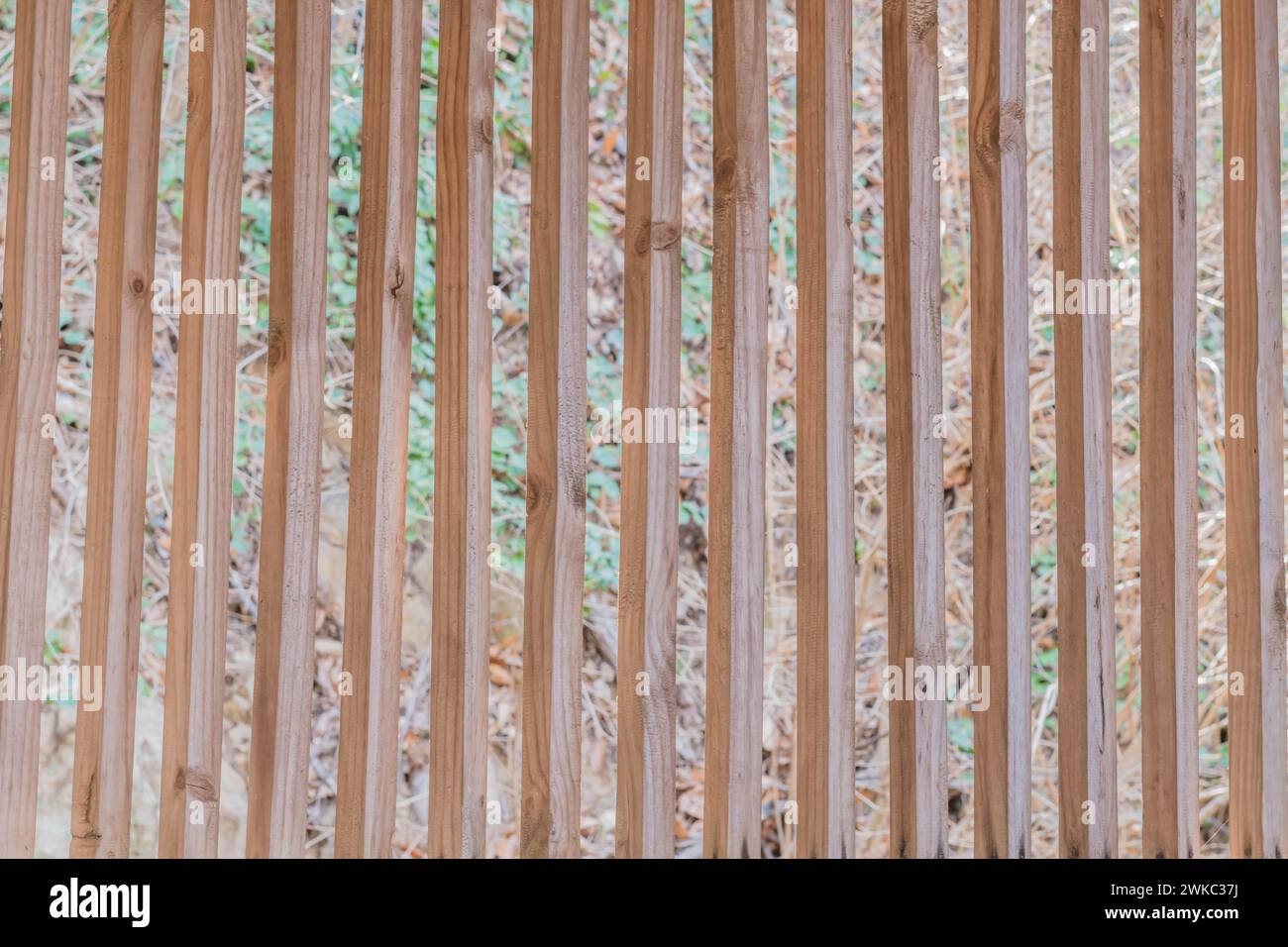 Lastre verticali in legno nel muro dell'edificio con colline erbose sfocate sullo sfondo in Corea del Sud Foto Stock