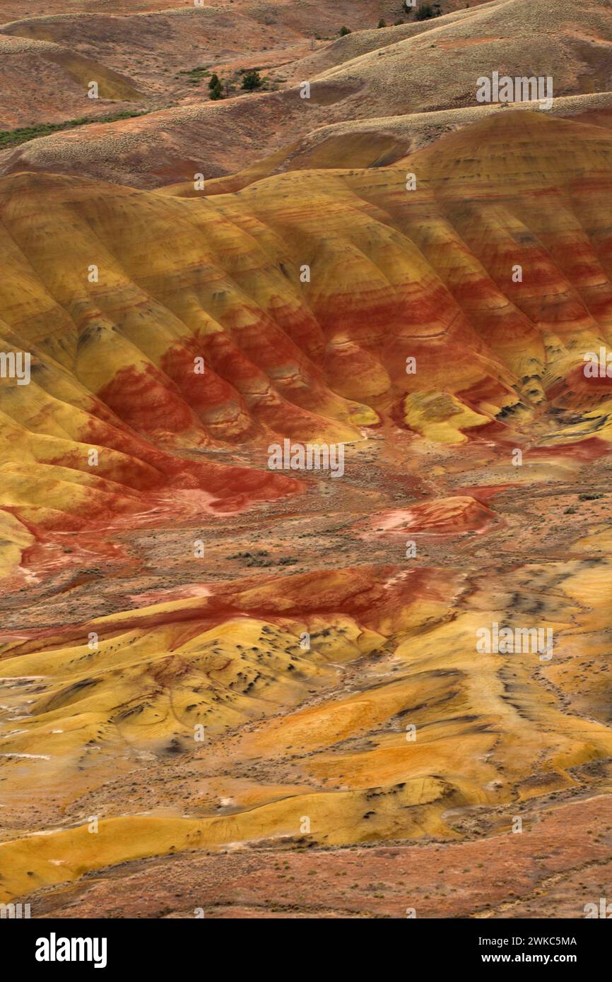 Colline dipinte da Carroll Rim Trail, John Day Fossil Beds National Monument-Painted Hills, unità di Oregon Foto Stock