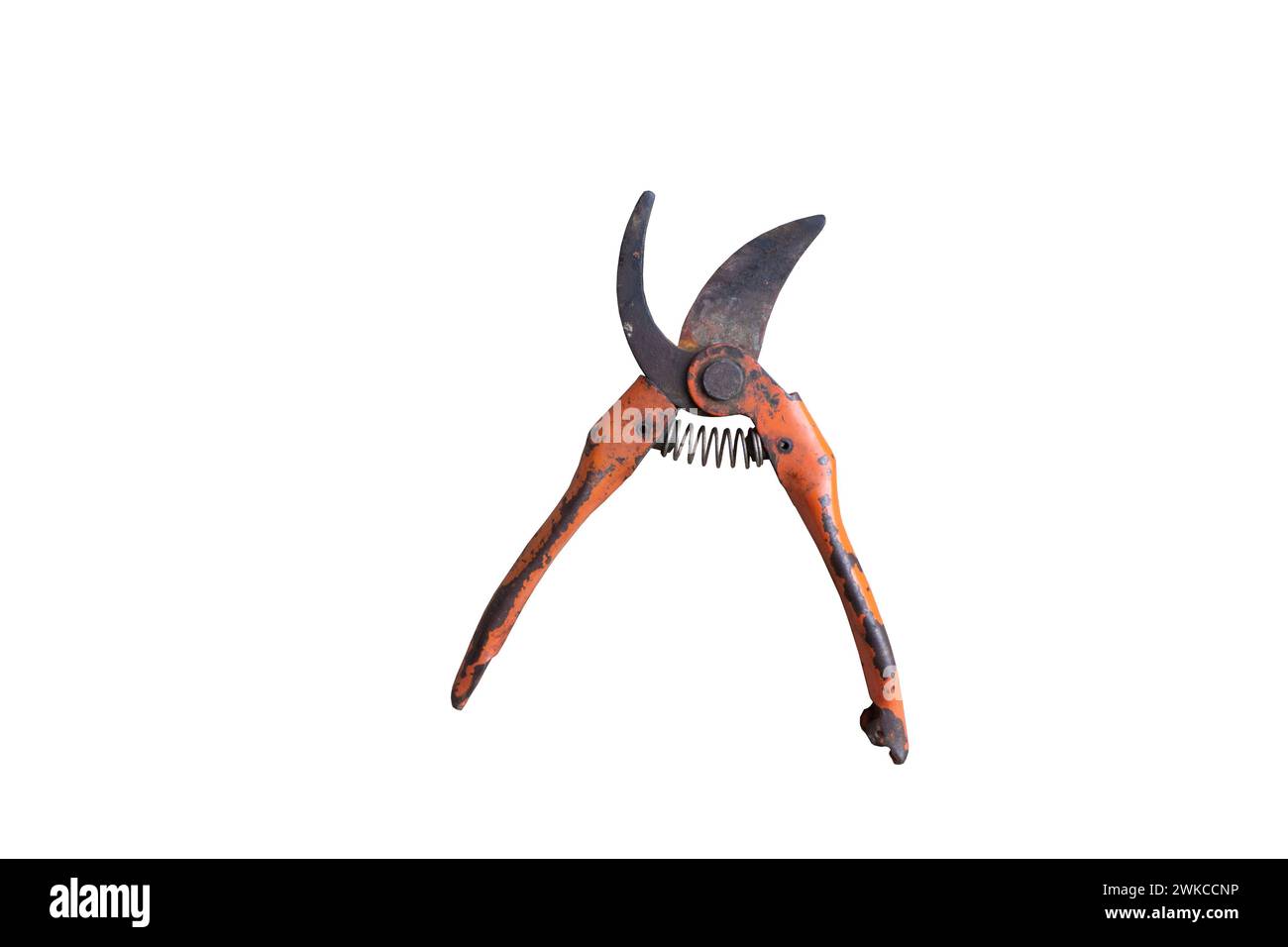 Pinze isolate su sfondo bianco, utensili in metallo e plastica per lavori di costruzione, riparazione e giardinaggio Foto Stock