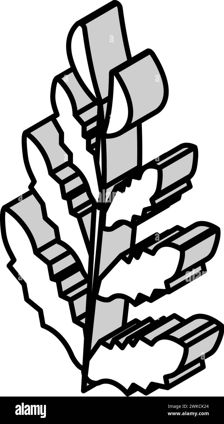 illustrazione vettoriale dell'icona isometrica della felce d'acqua africana Illustrazione Vettoriale