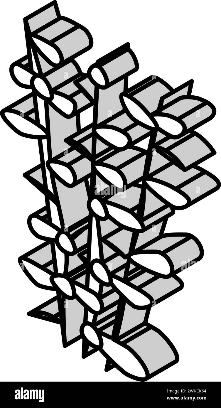 illustrazione vettoriale dell'icona isometrica di moneywort seaweed Illustrazione Vettoriale