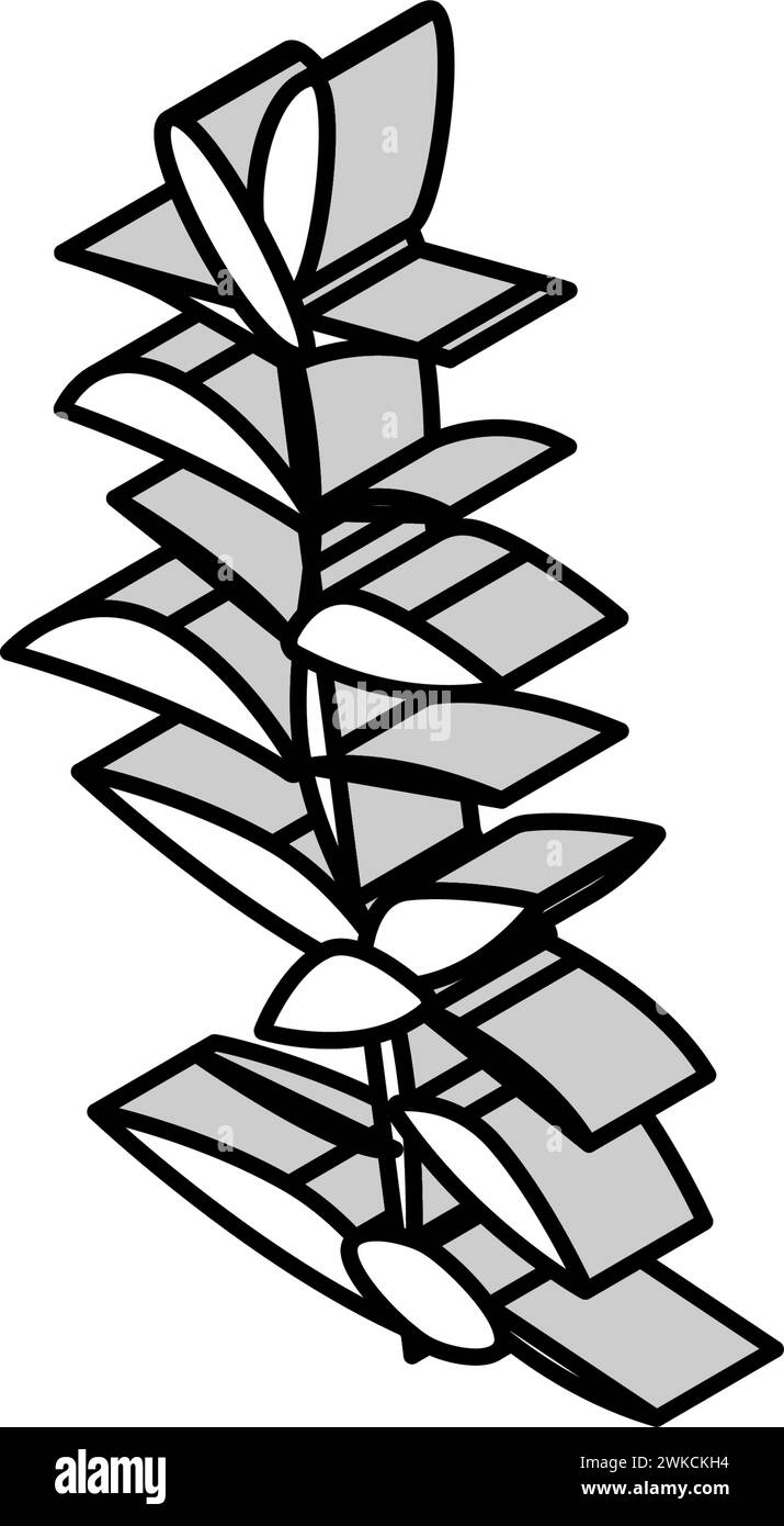 illustrazione vettoriale dell'icona isometrica della polispermia dell'idrofilia Illustrazione Vettoriale