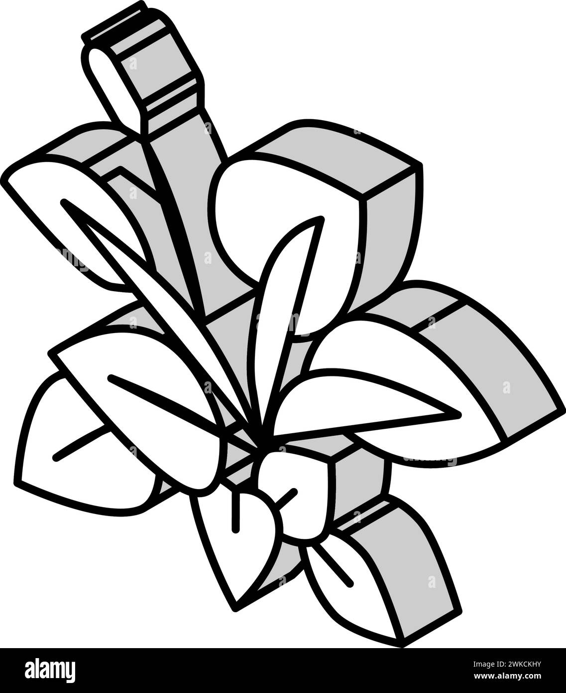 illustrazione vettoriale dell'icona isometrica anubia nana Illustrazione Vettoriale