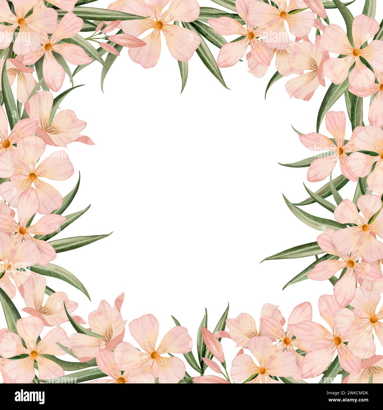 Cornice quadrata floreale di Oleander con illustrazione floreale in acquerello dello spazio di copia. Disegno estivo botanico con fiori Foto Stock