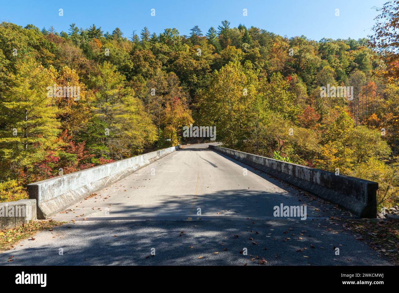 Obed Wild & Scenic River nell'altopiano di Cumberland nel Tennessee Foto Stock