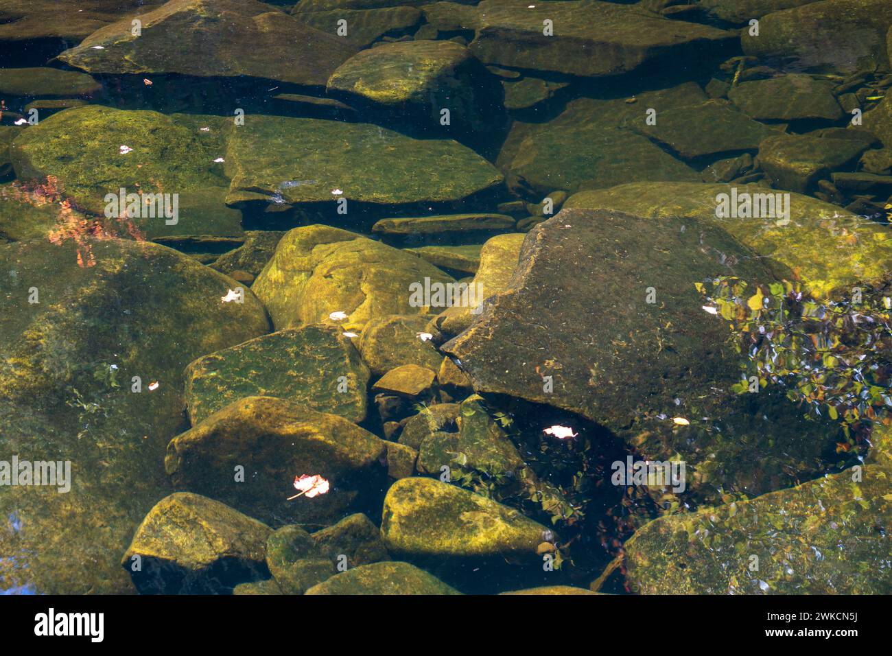 Obed Wild & Scenic River nell'altopiano di Cumberland nel Tennessee Foto Stock