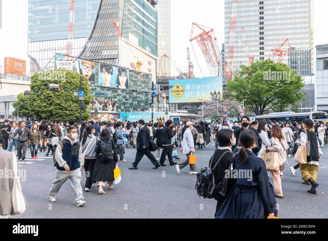 Città di Shibuya, famosa traversata di Shibuya, traversata dei pellicani, in prima serata, folle sulla strada, Tokyo, Giappone, Asia, 2023 Foto Stock