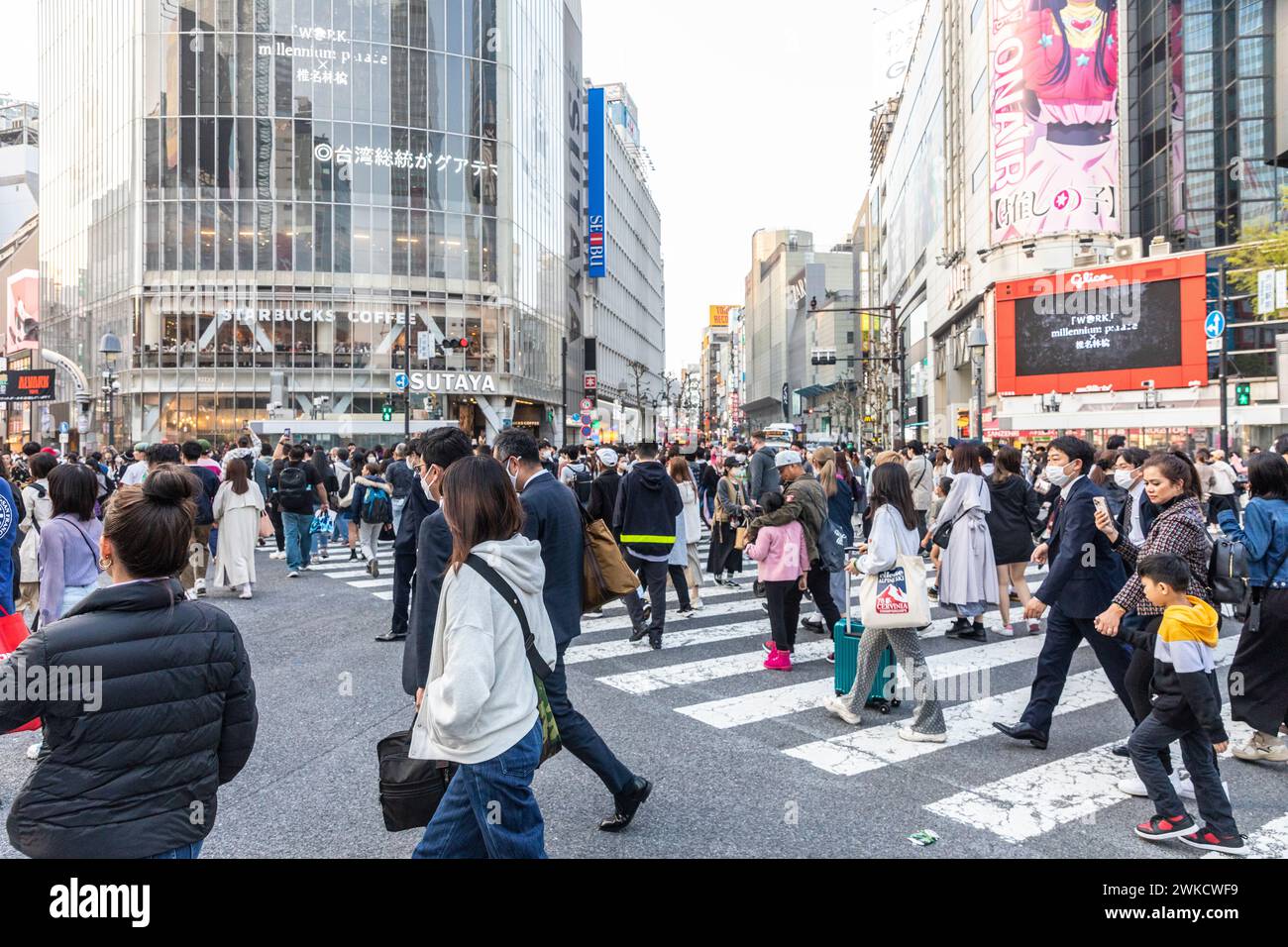 Città di Shibuya, famosa traversata di Shibuya, traversata dei pellicani, in prima serata, folle sulla strada, Tokyo, Giappone, Asia, 2023 Foto Stock