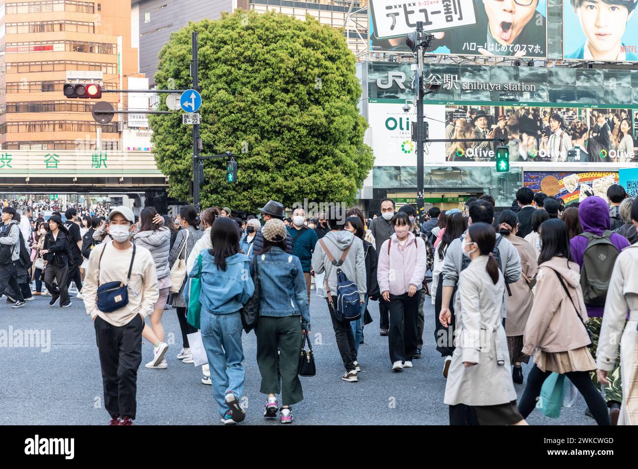 Città di Shibuya, famosa traversata di Shibuya, traversata dei pellicani, in prima serata, folle sulla strada, Tokyo, Giappone, Asia, 2023 Foto Stock