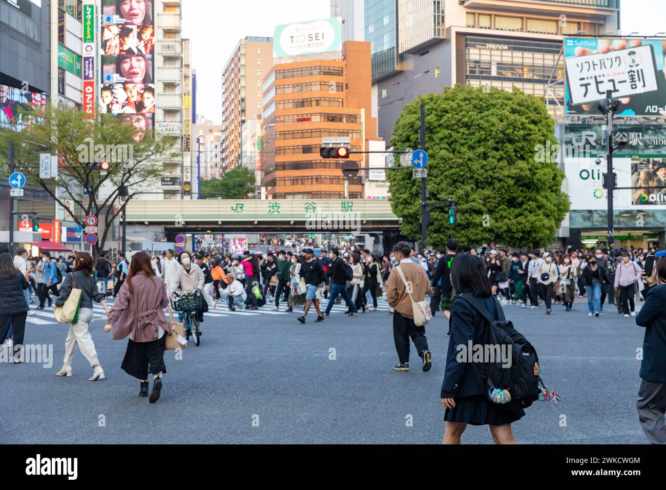 Città di Shibuya, famosa traversata di Shibuya, traversata dei pellicani, in prima serata, folle sulla strada, Tokyo, Giappone, Asia, 2023 Foto Stock