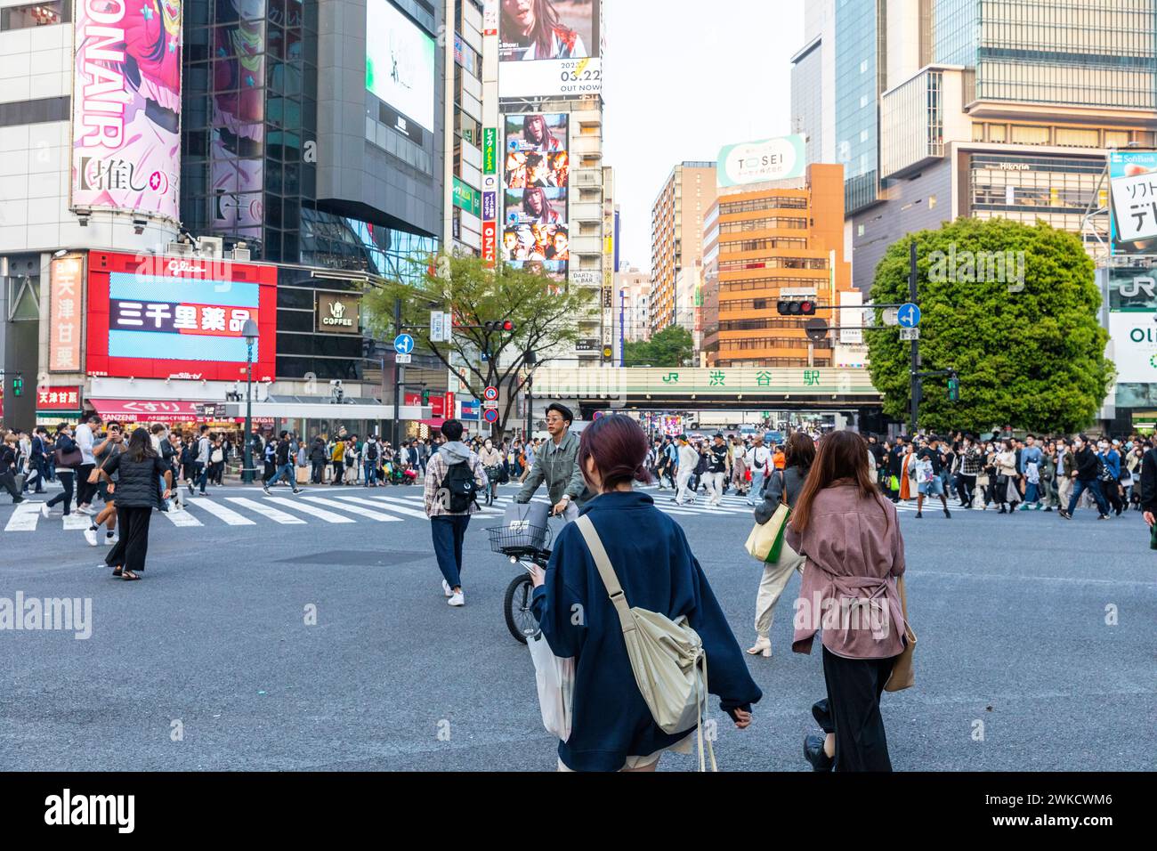 Città di Shibuya, famosa traversata di Shibuya, traversata dei pellicani, in prima serata, folle sulla strada, Tokyo, Giappone, Asia, 2023 Foto Stock