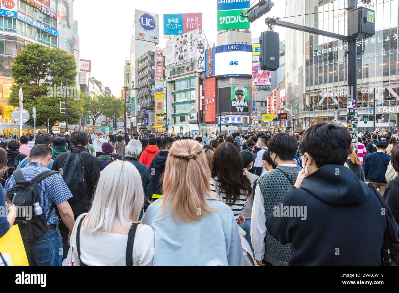 Città di Shibuya, famosa traversata di Shibuya, traversata dei pellicani, in prima serata, folle sulla strada, Tokyo, Giappone, Asia, 2023 Foto Stock