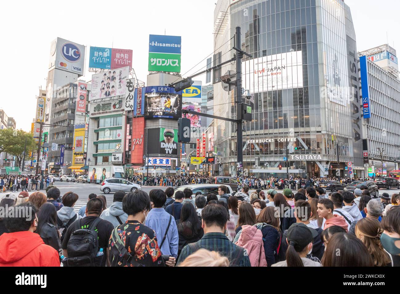 Città di Shibuya, famosa traversata di Shibuya, traversata dei pellicani, in prima serata, folle sulla strada, Tokyo, Giappone, Asia, 2023 Foto Stock