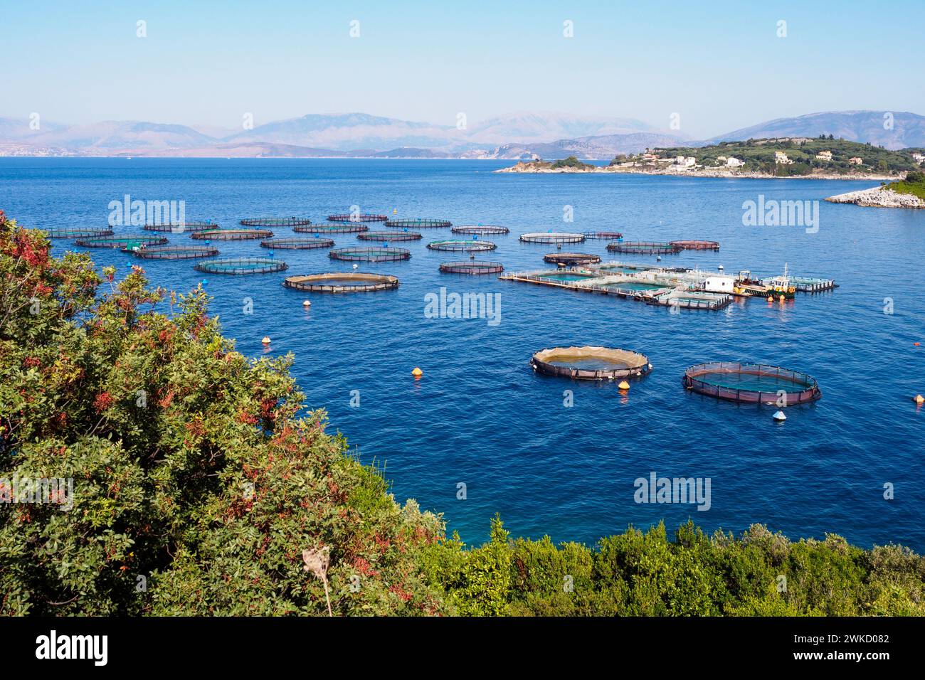 Allevamenti ittici sull'isola di Corfù, Grecia Foto Stock